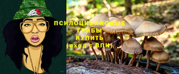 кокаин премиум Горнозаводск