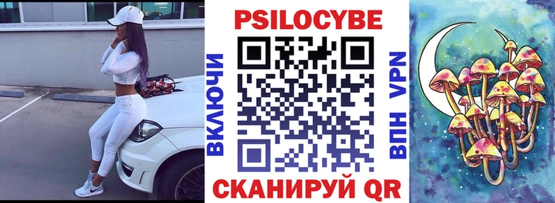 Галлюциногенные грибы Cubensis  Купить закладки  Нелидово 